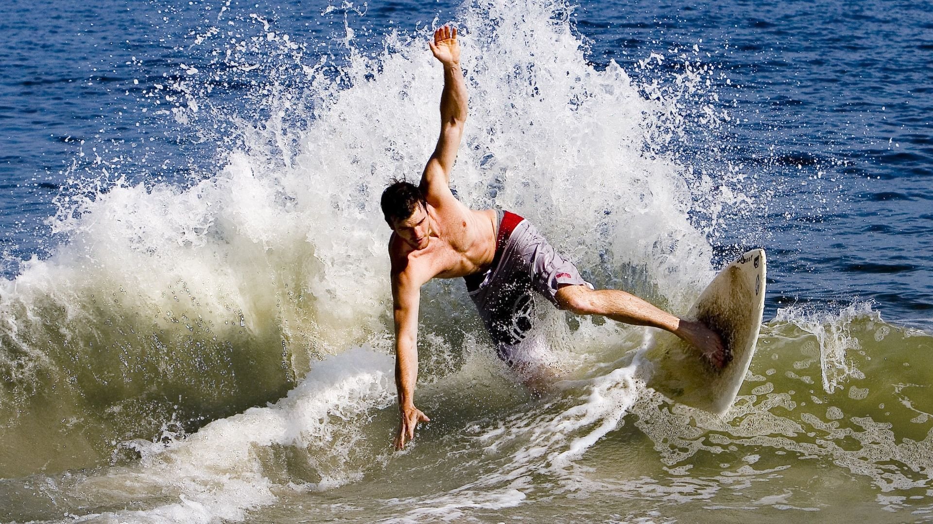 新闻中心发布人才培养方案，人才培养具体实施方案